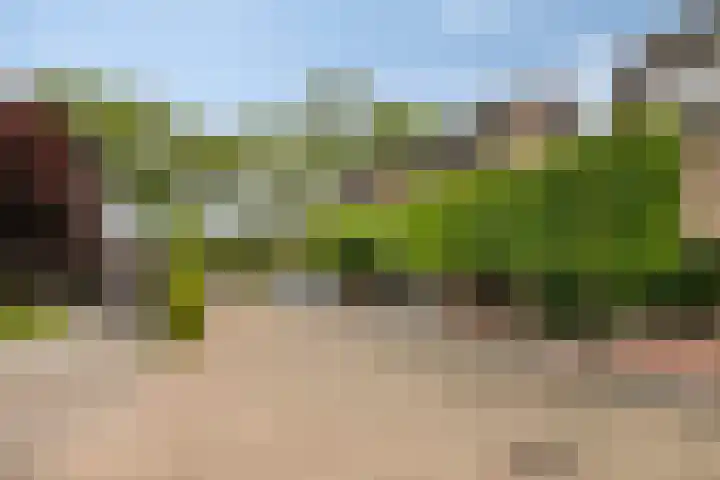 Houtzagerij 19 Klundert thumbnail 4