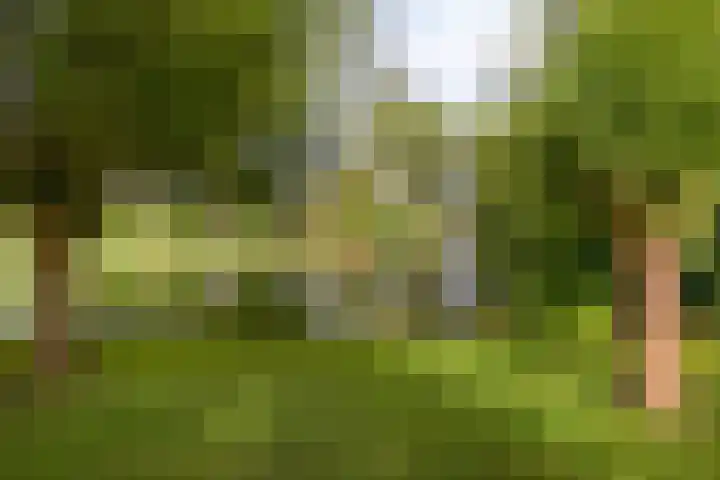 Houtzagerij 19 Klundert thumbnail 5