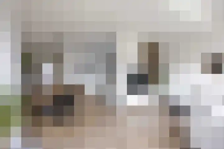 Houtzagerij 2 Winsum thumbnail 11