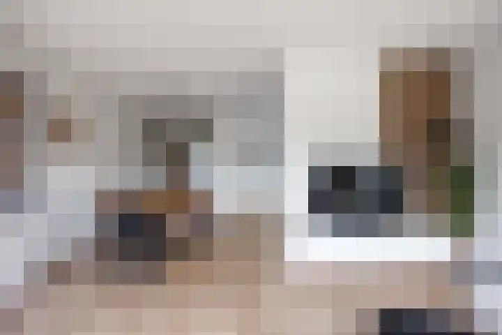 Houtzagerij 2 Winsum thumbnail 12