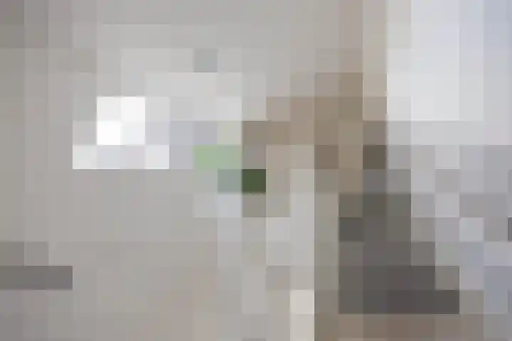 Houtzagerij 2 Winsum thumbnail 14