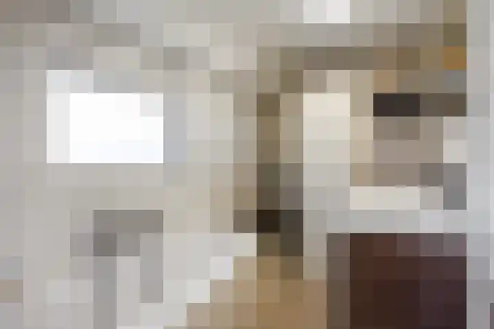 Houtzagerij 2 Winsum thumbnail 19