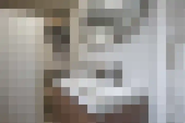 Houtzagerij 2 Winsum thumbnail 20