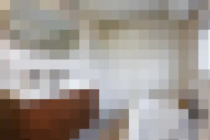 Houtzagerij 2 Winsum thumbnail 21