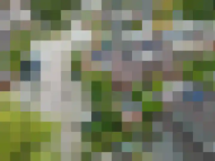 Houtzagerij 2 Winsum thumbnail 30