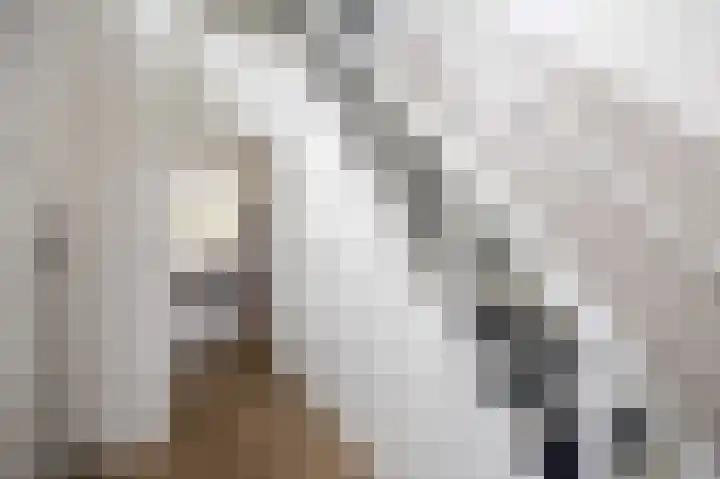 Houtzagerij 2 Winsum thumbnail 6