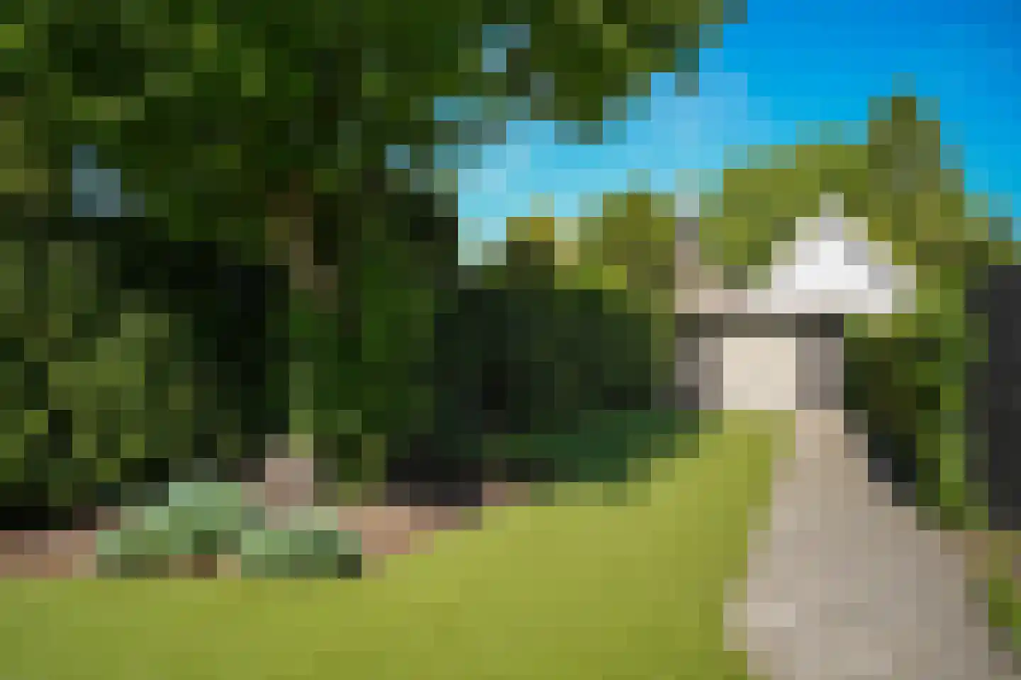 Houtzagerij 6 Laren thumbnail 37