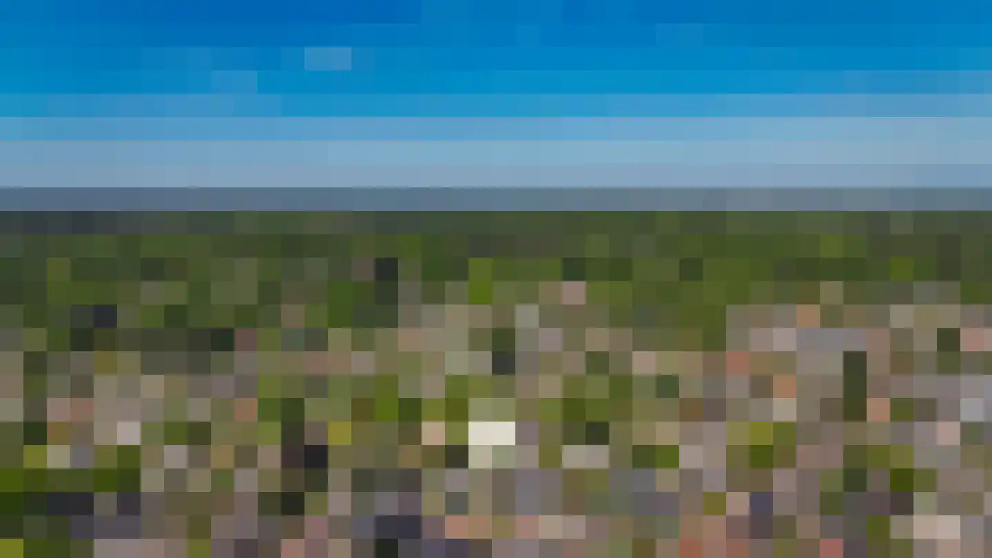 Houtzagerij 6 Laren thumbnail 71