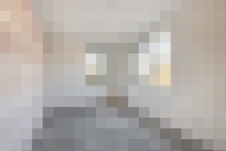 Houtzagerijbaan 20 Nieuwegein thumbnail 34