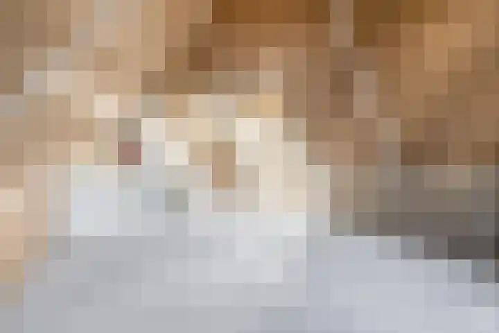 Houtzagerijbaan 20 Nieuwegein thumbnail 36