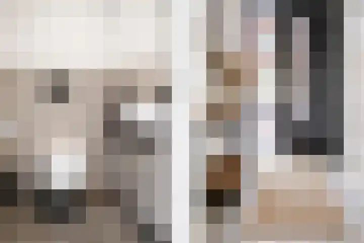 Houtzagerijbaan 25 Nieuwegein thumbnail 13