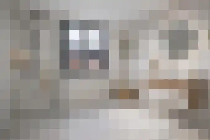 Houtzagerijbaan 25 Nieuwegein thumbnail 20