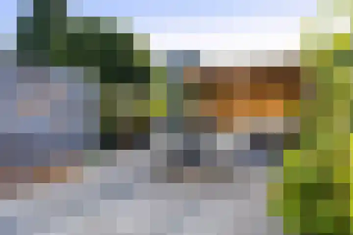 Houtzagersdonk 225 Apeldoorn thumbnail 10