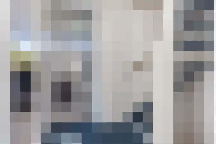 Houtzagersdonk 225 Apeldoorn thumbnail 18