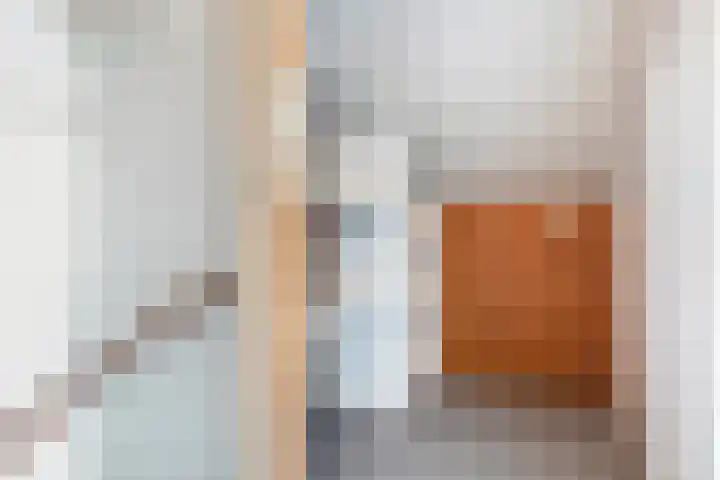 Houtzagersdonk 225 Apeldoorn thumbnail 24