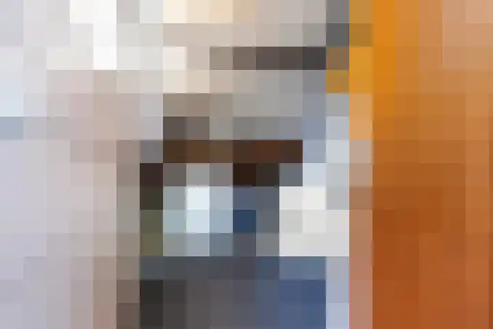 Houtzagersdonk 225 Apeldoorn thumbnail 25
