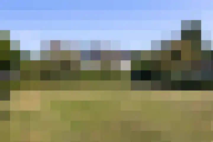 Houtzagersdonk 225 Apeldoorn thumbnail 29