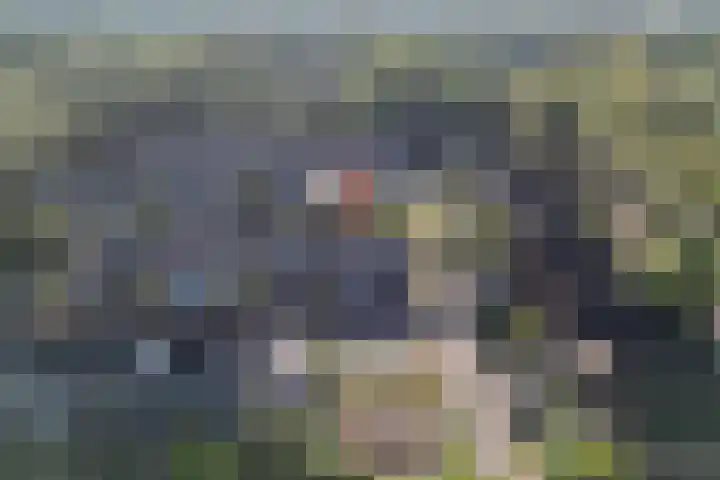 Houtzagersdonk 225 Apeldoorn thumbnail 31