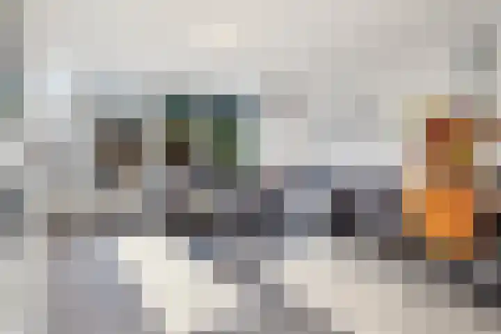 Houtzagersdonk 225 Apeldoorn thumbnail 8