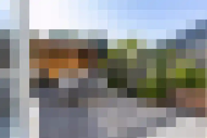 Houtzagersdonk 225 Apeldoorn thumbnail 9