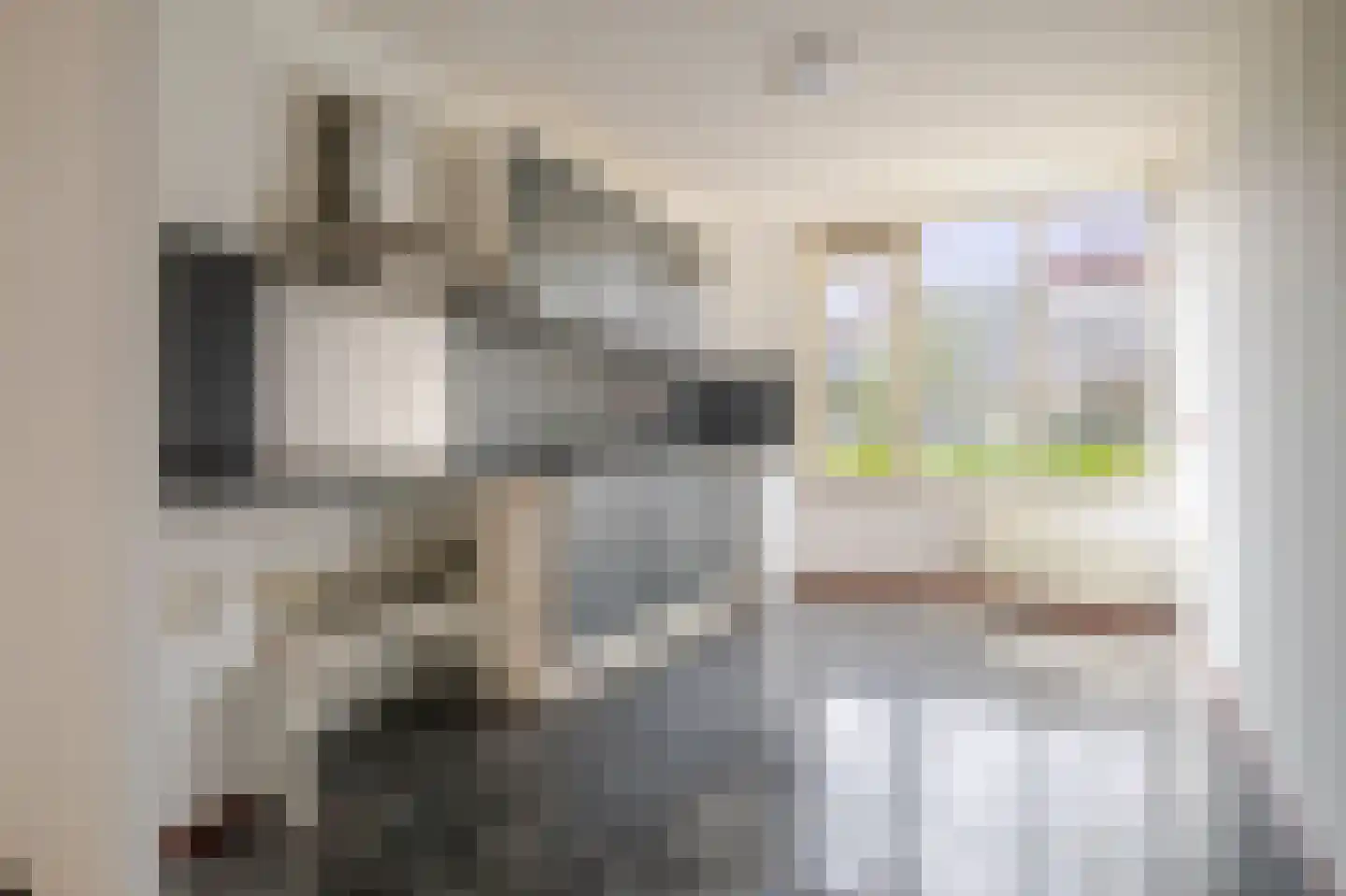 Houtzagerssingel 120 Den Haag thumbnail 14