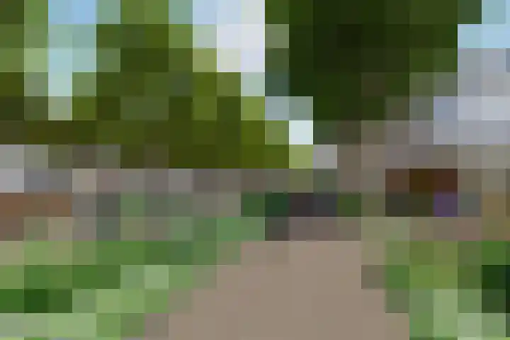 Houtzagerssingel 142 Den Haag thumbnail 57
