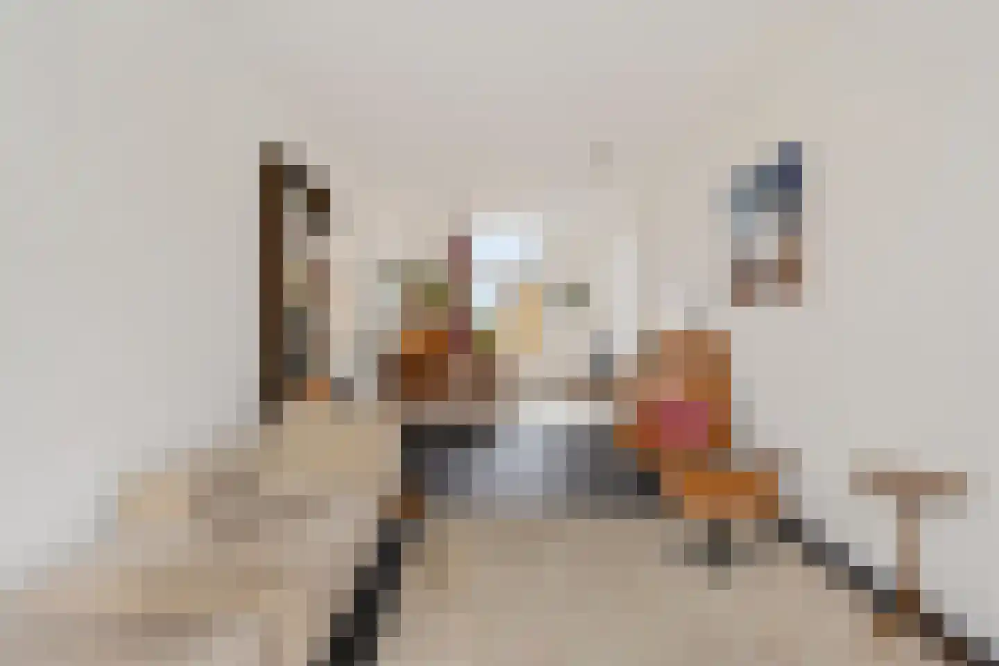 Houtzagerssingel 17 Den Haag thumbnail 9