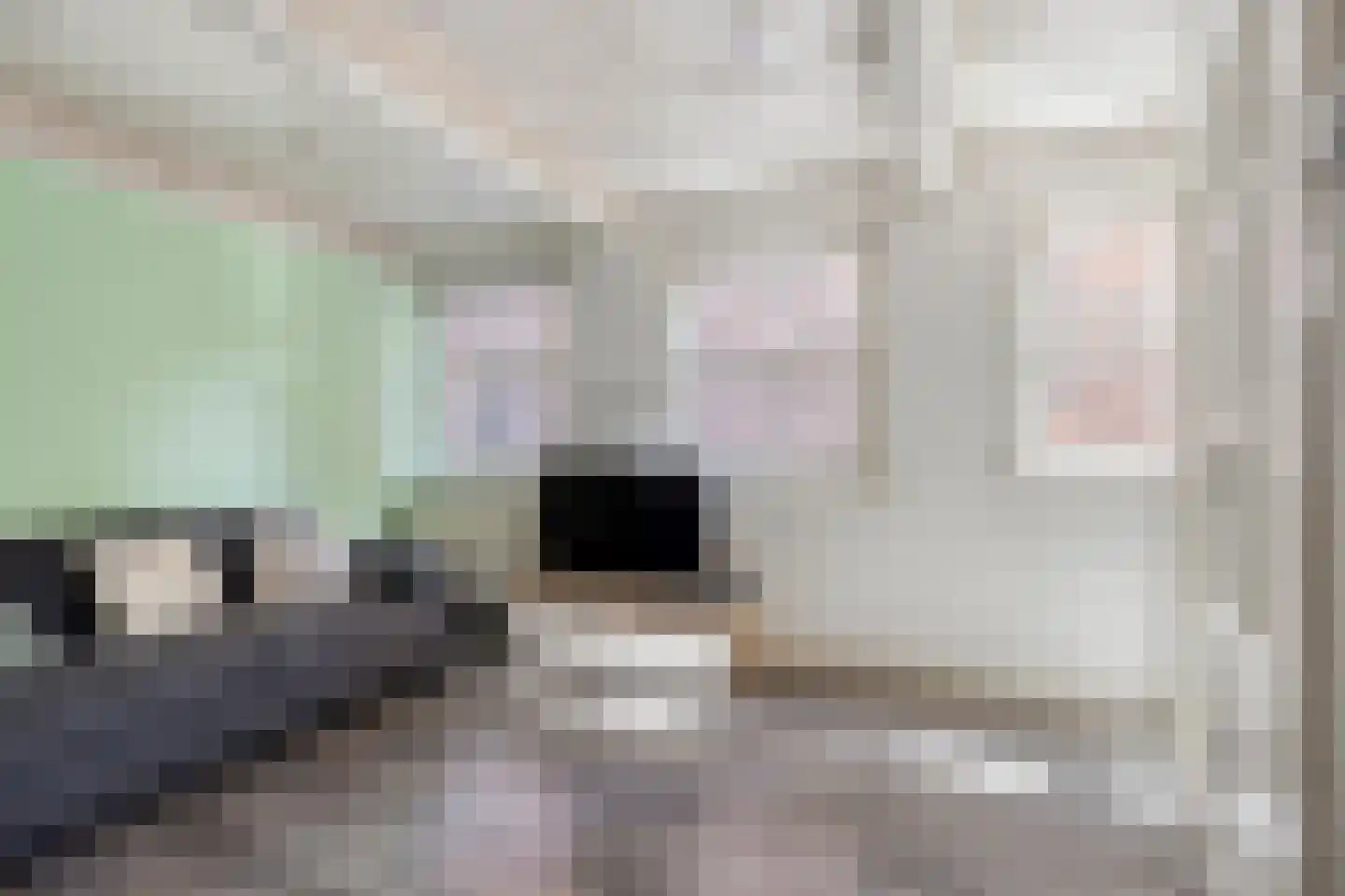 Houtzagerssteeg 4 Kampen thumbnail 18