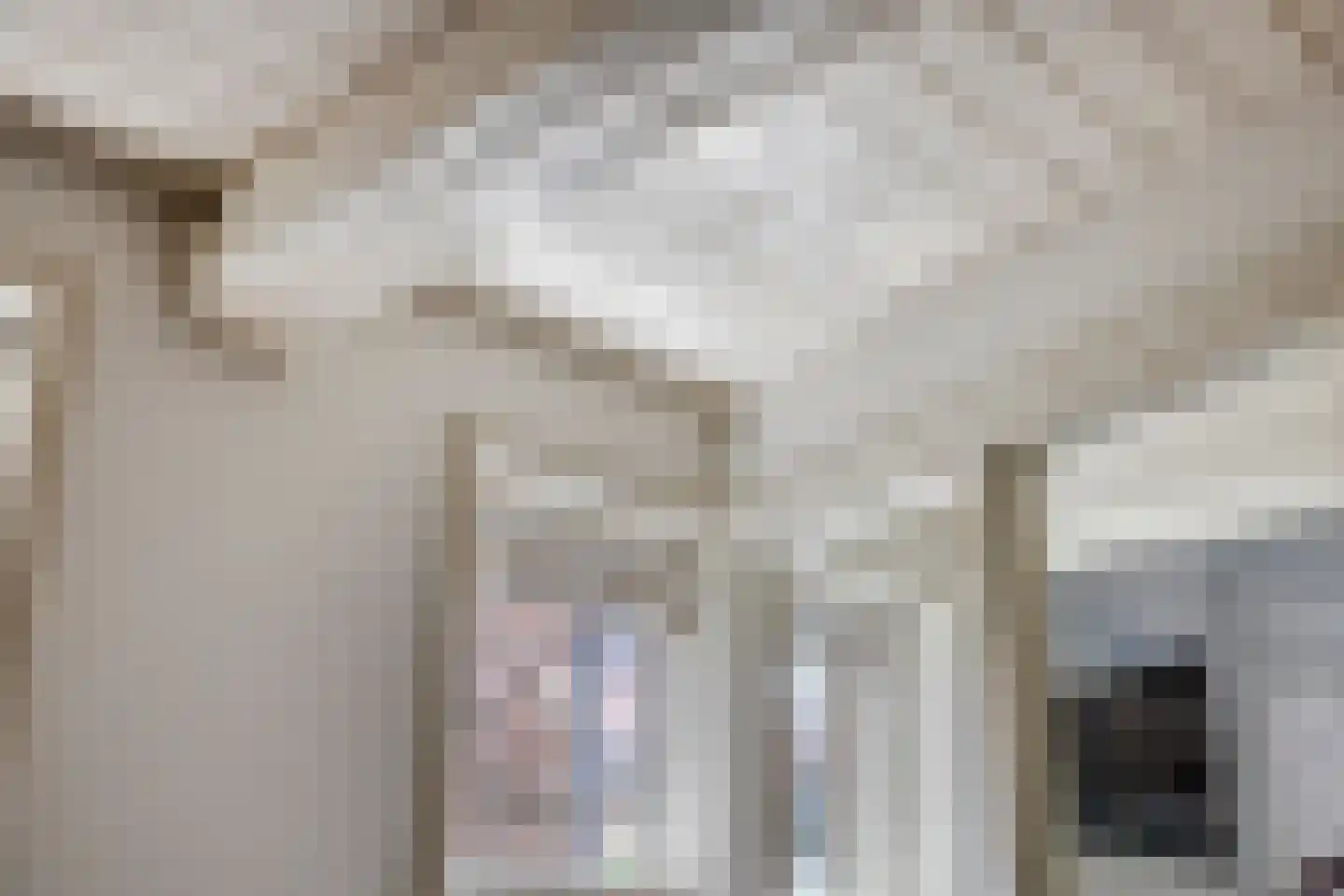 Houtzagerssteeg 4 Kampen thumbnail 19