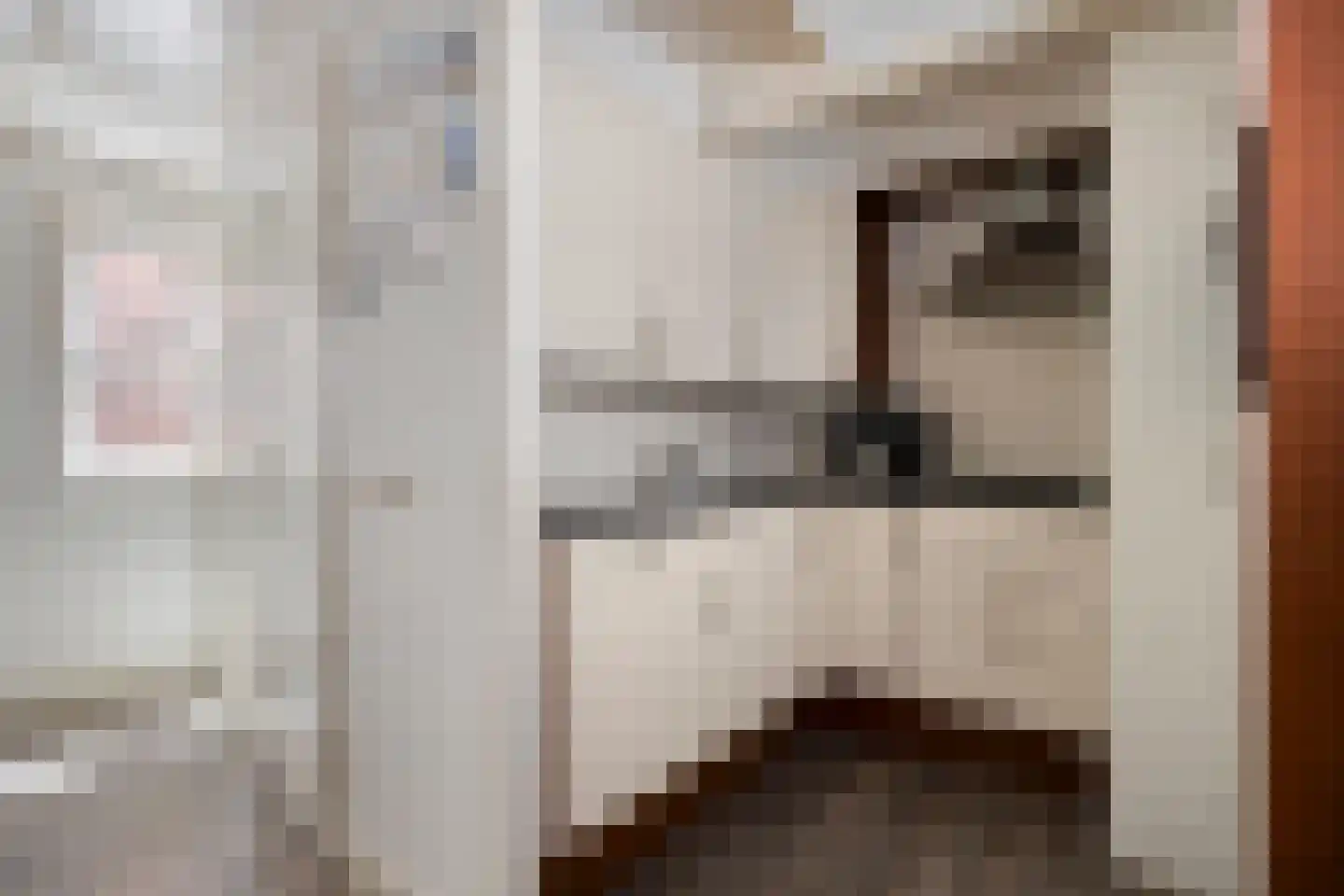 Houtzagerssteeg 4 Kampen thumbnail 22