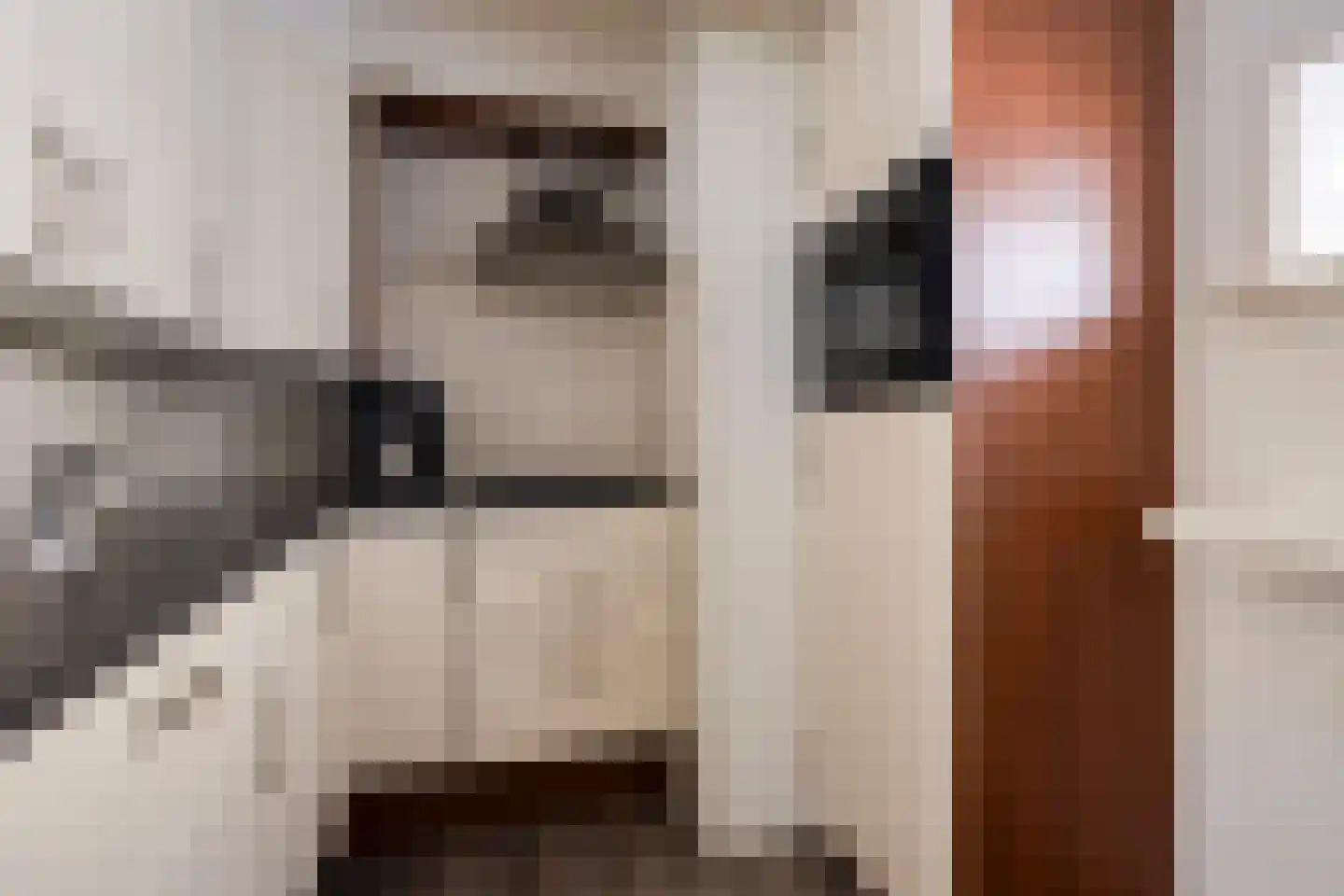 Houtzagerssteeg 4 Kampen thumbnail 23