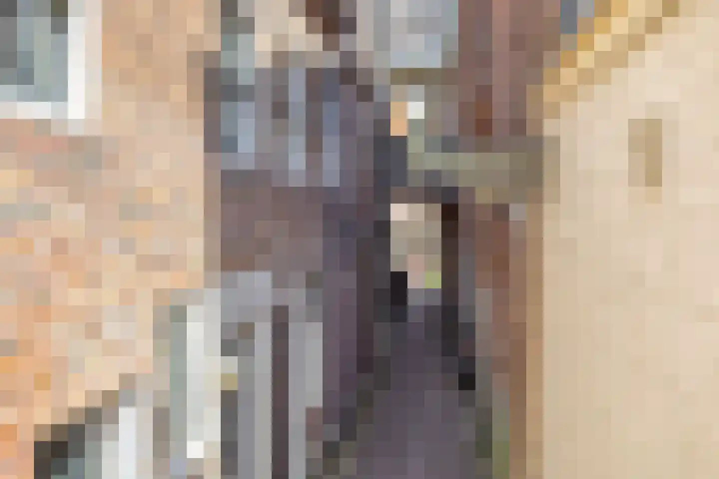 Houtzagerssteeg 4 Kampen thumbnail 6