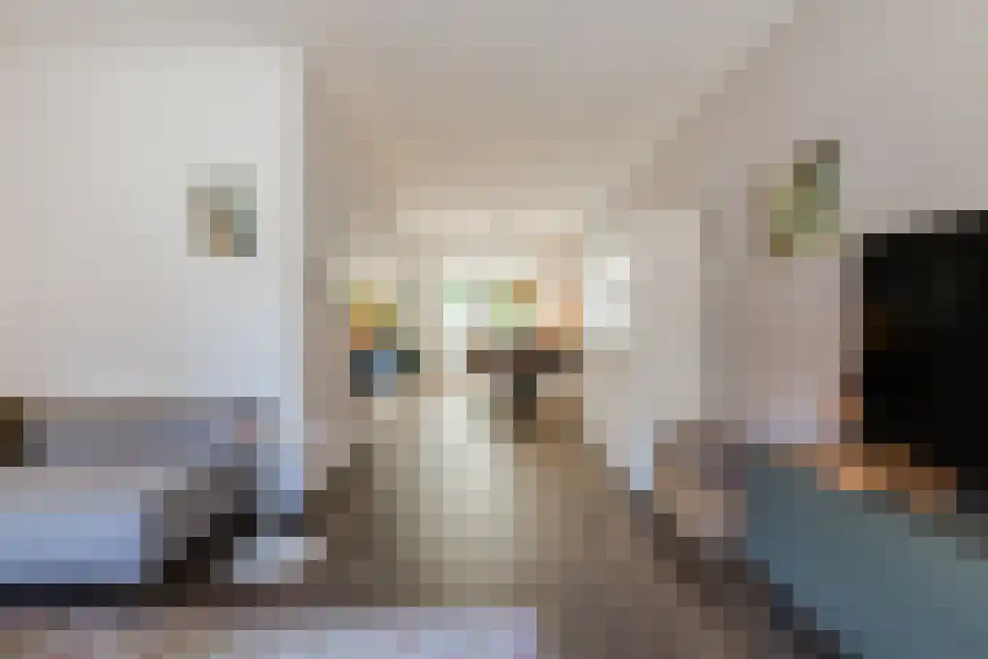 Houtzagerstraat 16 Susteren thumbnail 12