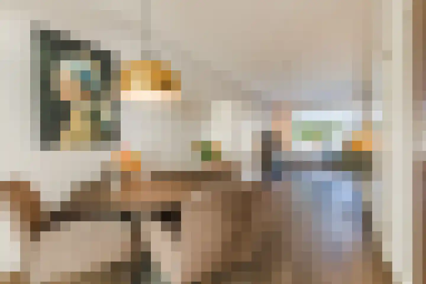 Houtzagerstraat 16 Susteren thumbnail 14