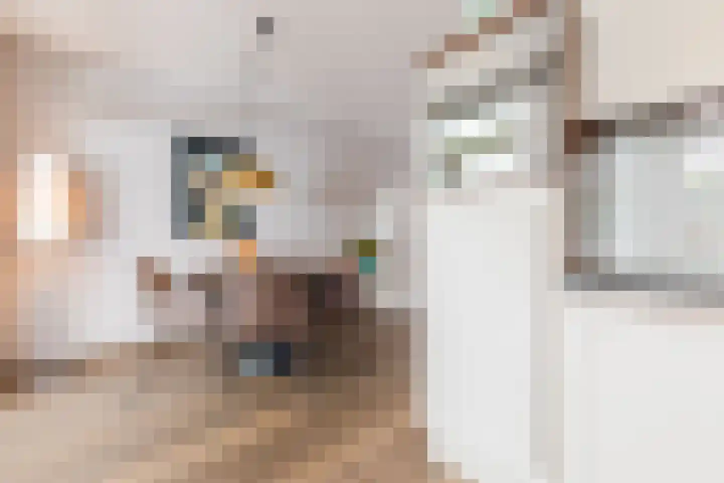 Houtzagerstraat 16 Susteren thumbnail 17