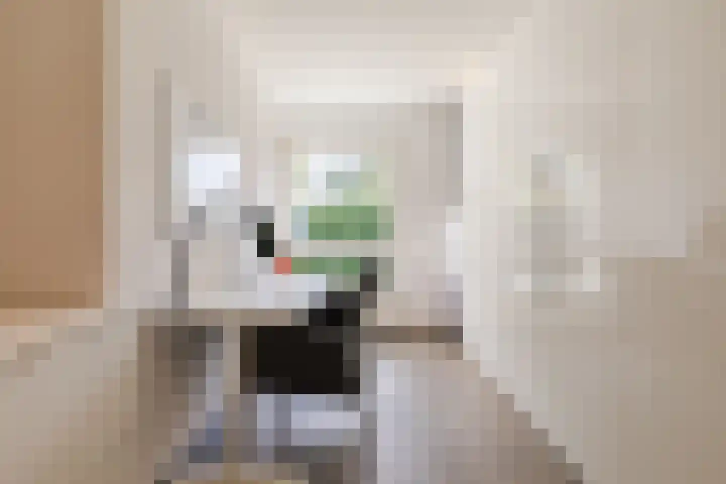 Houtzagerstraat 16 Susteren thumbnail 26