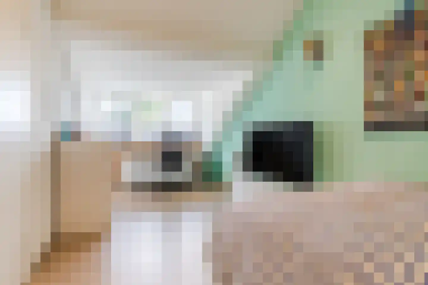 Houtzagerstraat 16 Susteren thumbnail 32