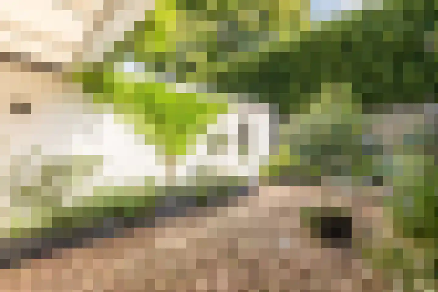 Houtzagerstraat 16 Susteren thumbnail 38