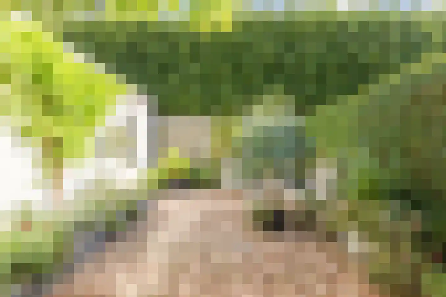 Houtzagerstraat 16 Susteren thumbnail 39