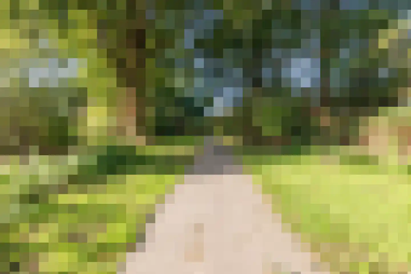 Houtzagerstraat 16 Susteren thumbnail 42