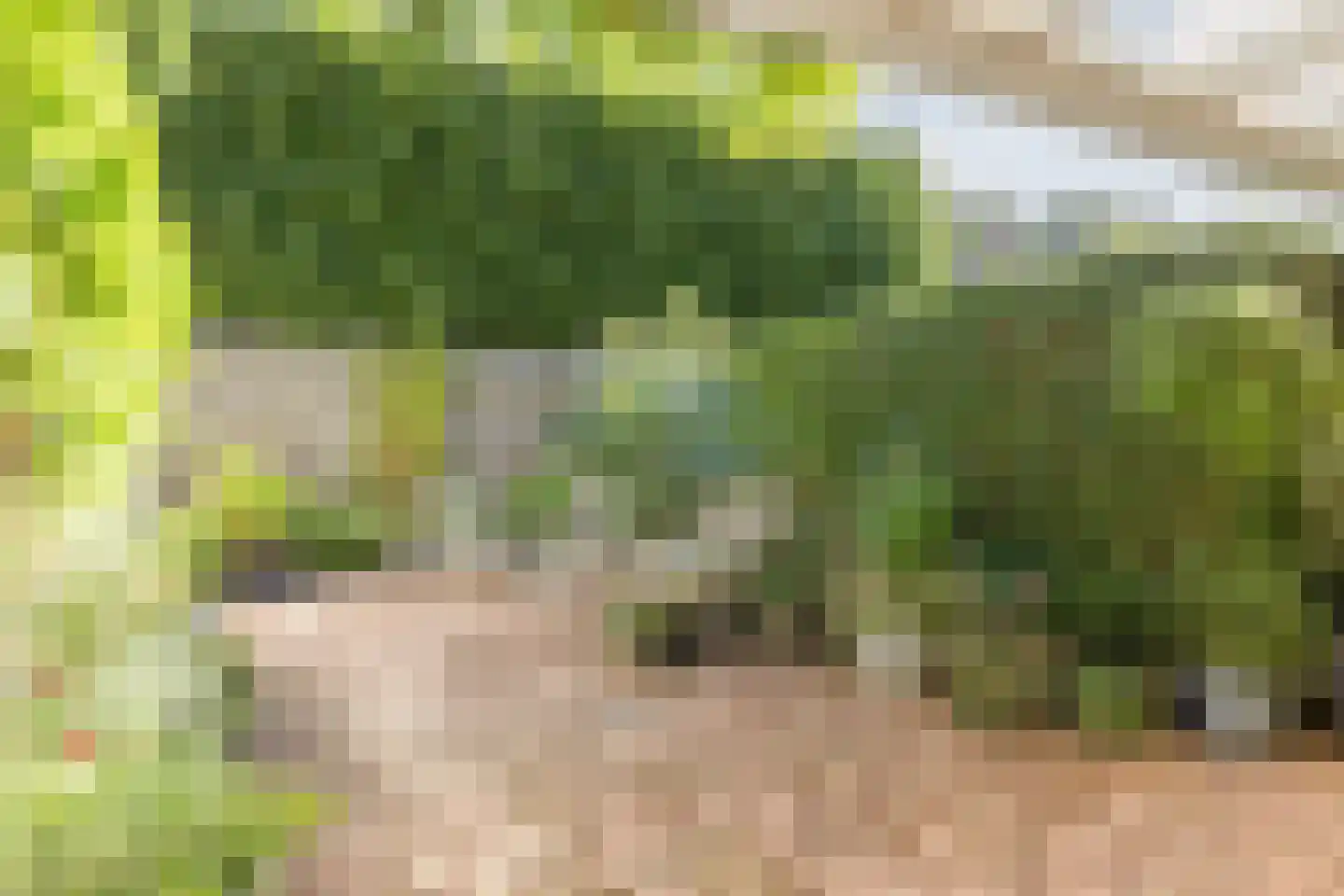 Houtzagerstraat 16 Susteren thumbnail 6