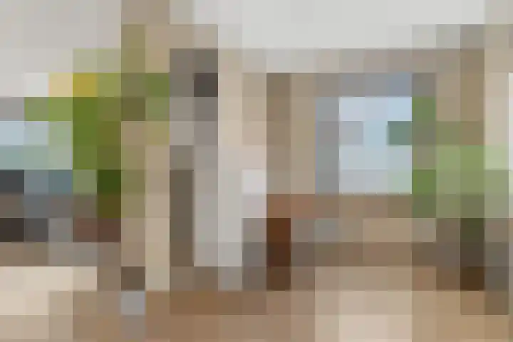 Houweg 2 Elst Ut thumbnail 10