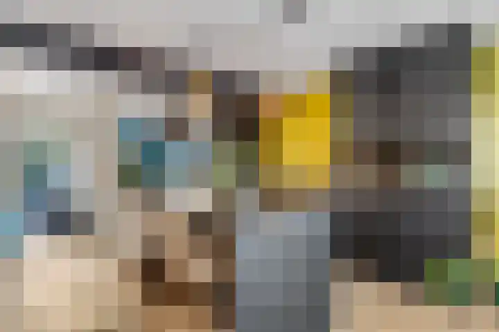Houweg 2 Elst Ut thumbnail 14