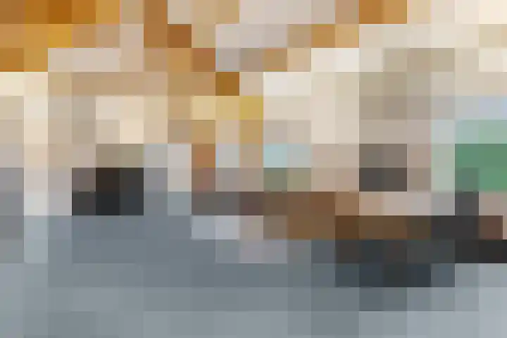 Houweg 2 Elst Ut thumbnail 36
