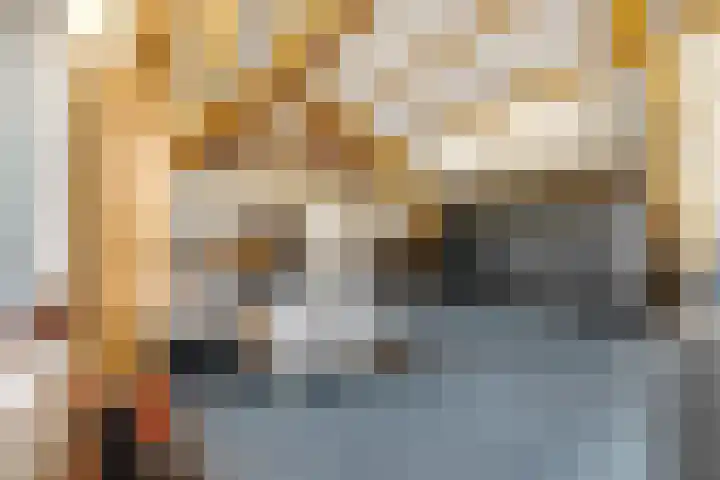 Houweg 2 Elst Ut thumbnail 37