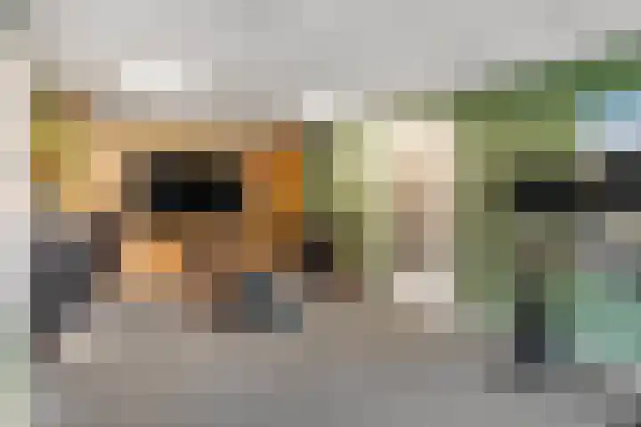 Houweg 2 Elst Ut thumbnail 41