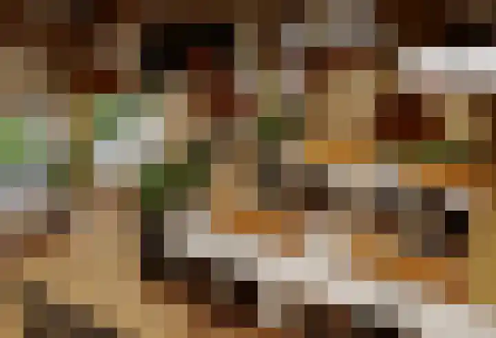 Houweg 2 Elst Ut thumbnail 45