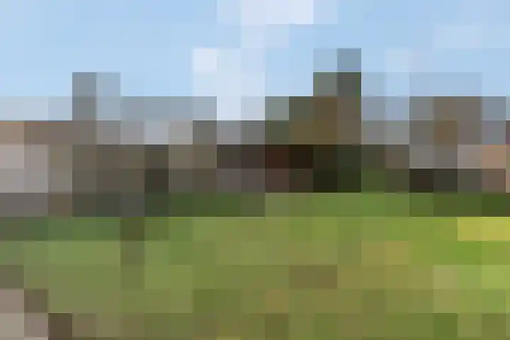 Houweg 2 Elst Ut thumbnail 47