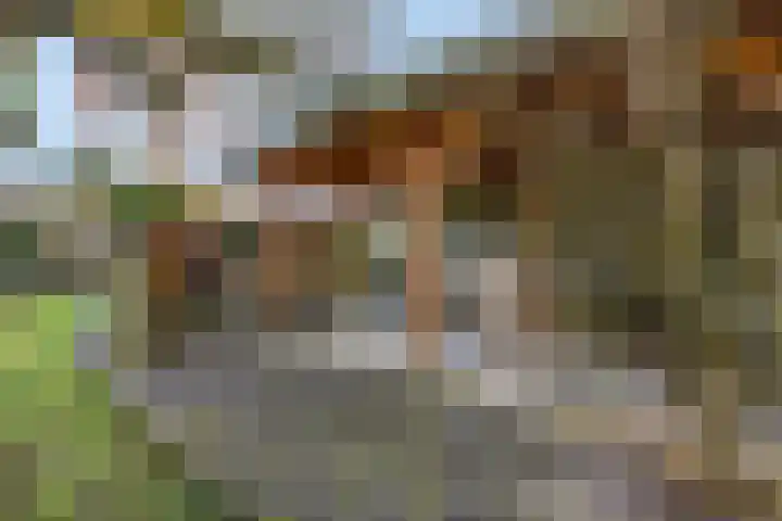 Houweg 2 Elst Ut thumbnail 49