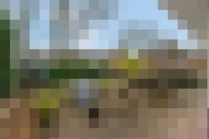 Houweg 2 Elst Ut thumbnail 51